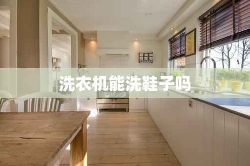洗衣机能洗鞋子吗