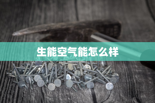 生能空气能怎么样